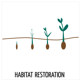 Habitat restoration